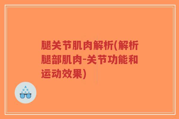 腿关节肌肉解析(解析腿部肌肉-关节功能和运动效果)-第1张图片-超越 腿关节肌肉解析(解析腿部肌肉-关节功能和运动效果)-第1张图片-超越
