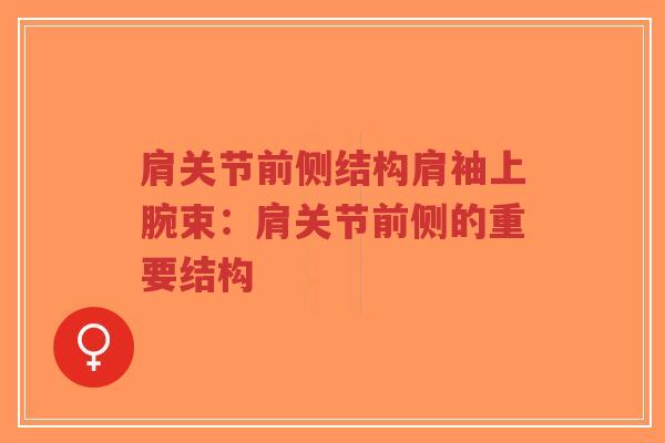 肩关节前侧结构肩袖上腕束:肩关节前侧的重要结构-第1张图片-超越 肩关节前侧结构肩袖上腕束:肩关节前侧的重要结构-第1张图片-超越