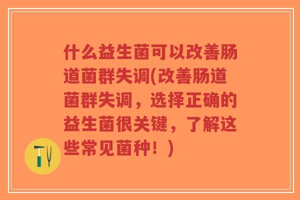 什么益生菌可以改善肠道菌群失调(改善肠道菌群失调,选择正确的益生菌很关键,了解这些常见菌种!)-第1张图片-超越 什么益生菌可以改善肠道菌群失调(改善肠道菌群失调,选择正确的益生菌很关键,了解这些常见菌种!)-第1张图片-超越