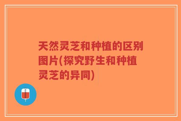 天然灵芝和种植的区别图片(探究野生和种植灵芝的异同)-第1张图片-超越 天然灵芝和种植的区别图片(探究野生和种植灵芝的异同)-第1张图片-超越