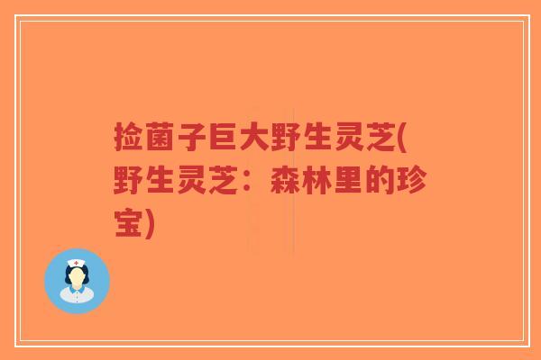 捡菌子巨大野生灵芝(野生灵芝:森林里的珍宝)-第1张图片-超越 捡菌子巨大野生灵芝(野生灵芝:森林里的珍宝)-第1张图片-超越