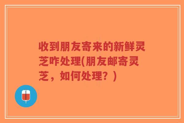 收到朋友寄来的新鲜灵芝咋处理(朋友邮寄灵芝,如何处理?)-第1张图片-超越 收到朋友寄来的新鲜灵芝咋处理(朋友邮寄灵芝,如何处理?)-第1张图片-超越