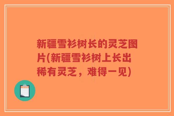 新疆雪衫树长的灵芝图片(新疆雪衫树上长出稀有灵芝,难得一见)-第1张图片-超越 新疆雪衫树长的灵芝图片(新疆雪衫树上长出稀有灵芝,难得一见)-第1张图片-超越