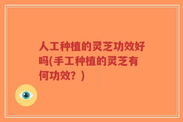 人工种植的灵芝功效好吗(手工种植的灵芝有何功效?)-第1张图片-超越 人工种植的灵芝功效好吗(手工种植的灵芝有何功效?)-第1张图片-超越
