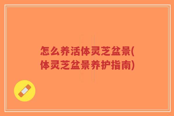 怎么养活体灵芝盆景(体灵芝盆景养护指南)-第1张图片-超越 怎么养活体灵芝盆景(体灵芝盆景养护指南)-第1张图片-超越