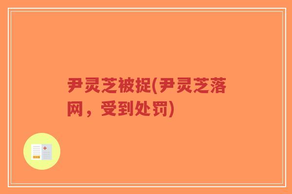 尹灵芝被捉(尹灵芝落网,受到处罚)-第1张图片-超越 尹灵芝被捉(尹灵芝落网,受到处罚)-第1张图片-超越