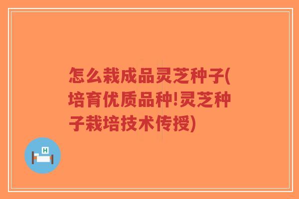 怎么栽成品灵芝种子(培育优质品种!灵芝种子栽培技术传授)-第1张图片-超越 怎么栽成品灵芝种子(培育优质品种!灵芝种子栽培技术传授)-第1张图片-超越