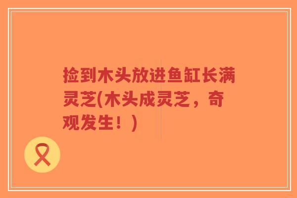捡到木头放进鱼缸长满灵芝(木头成灵芝,奇观发生!)-第1张图片-超越 捡到木头放进鱼缸长满灵芝(木头成灵芝,奇观发生!)-第1张图片-超越