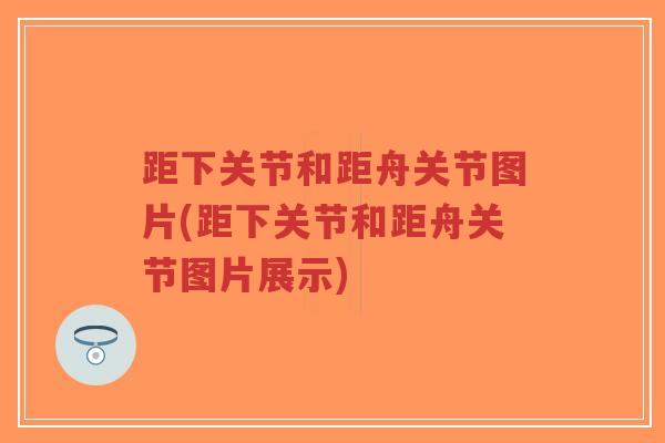 距下关节和距舟关节图片(距下关节和距舟关节图片展示)-第1张图片-超越 距下关节和距舟关节图片(距下关节和距舟关节图片展示)-第1张图片-超越