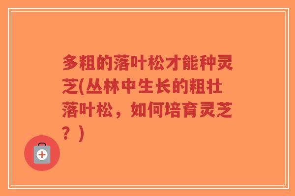 多粗的落叶松才能种灵芝(丛林中生长的粗壮落叶松,如何培育灵芝?)-第1张图片-超越 多粗的落叶松才能种灵芝(丛林中生长的粗壮落叶松,如何培育灵芝?)-第1张图片-超越