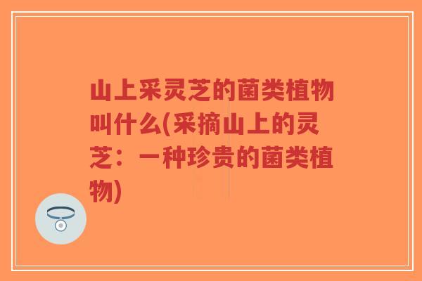 山上采灵芝的菌类植物叫什么(采摘山上的灵芝：一种珍贵的菌类植物)-第1张图片-超越