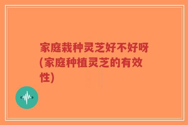 家庭栽种灵芝好不好呀(家庭种植灵芝的有效性)-第1张图片-超越 家庭栽种灵芝好不好呀(家庭种植灵芝的有效性)-第1张图片-超越