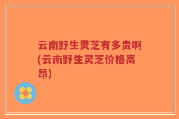云南野生灵芝有多贵啊(云南野生灵芝价格高昂)-第1张图片-超越 云南野生灵芝有多贵啊(云南野生灵芝价格高昂)-第1张图片-超越