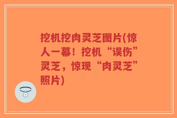 挖机挖肉灵芝图片(惊人一幕!挖机“误伤”灵芝,惊现“肉灵芝”照片)-第1张图片-超越 挖机挖肉灵芝图片(惊人一幕!挖机“误伤”灵芝,惊现“肉灵芝”照片)-第1张图片-超越
