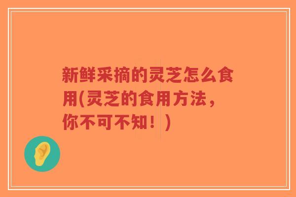 新鲜采摘的灵芝怎么食用(灵芝的食用方法,你不可不知!)-第1张图片-超越 新鲜采摘的灵芝怎么食用(灵芝的食用方法,你不可不知!)-第1张图片-超越