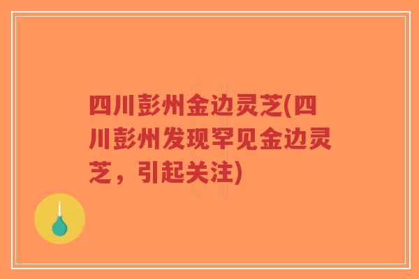 四川彭州金边灵芝(四川彭州发现罕见金边灵芝,引起关注)-第1张图片-超越 四川彭州金边灵芝(四川彭州发现罕见金边灵芝,引起关注)-第1张图片-超越