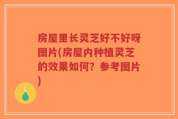 房屋里长灵芝好不好呀图片(房屋内种植灵芝的效果如何?参考图片)-第1张图片-超越 房屋里长灵芝好不好呀图片(房屋内种植灵芝的效果如何?参考图片)-第1张图片-超越