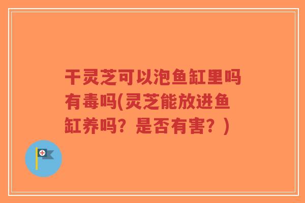 干灵芝可以泡鱼缸里吗有毒吗(灵芝能放进鱼缸养吗?是否有害?)-第1张图片-超越 干灵芝可以泡鱼缸里吗有毒吗(灵芝能放进鱼缸养吗?是否有害?)-第1张图片-超越