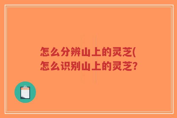 怎么分辨山上的灵芝(怎么识别山上的灵芝?-第1张图片-超越 怎么分辨山上的灵芝(怎么识别山上的灵芝?-第1张图片-超越