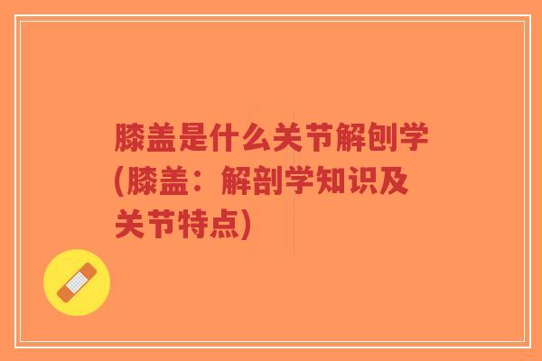 膝盖是什么关节解刨学(膝盖:解剖学知识及关节特点)-第1张图片-超越 膝盖是什么关节解刨学(膝盖:解剖学知识及关节特点)-第1张图片-超越