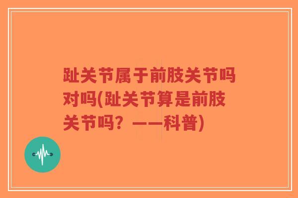 趾关节属于前肢关节吗对吗(趾关节算是前肢关节吗?——科普)-第1张图片-超越 趾关节属于前肢关节吗对吗(趾关节算是前肢关节吗?——科普)-第1张图片-超越