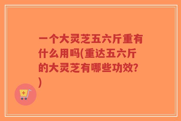 一个大灵芝五六斤重有什么用吗(重达五六斤的大灵芝有哪些功效?)-第1张图片-超越 一个大灵芝五六斤重有什么用吗(重达五六斤的大灵芝有哪些功效?)-第1张图片-超越