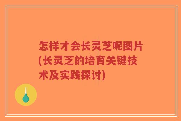 怎样才会长灵芝呢图片(长灵芝的培育关键技术及实践探讨)-第1张图片-超越 怎样才会长灵芝呢图片(长灵芝的培育关键技术及实践探讨)-第1张图片-超越