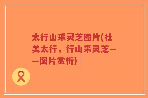太行山采灵芝图片(壮美太行,行山采灵芝——图片赏析)-第1张图片-超越 太行山采灵芝图片(壮美太行,行山采灵芝——图片赏析)-第1张图片-超越