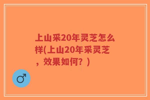 上山采20年灵芝怎么样(上山20年采灵芝,效果如何?)-第1张图片-超越 上山采20年灵芝怎么样(上山20年采灵芝,效果如何?)-第1张图片-超越