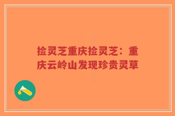 捡灵芝重庆捡灵芝:重庆云岭山发现珍贵灵草-第1张图片-超越 捡灵芝重庆捡灵芝:重庆云岭山发现珍贵灵草-第1张图片-超越