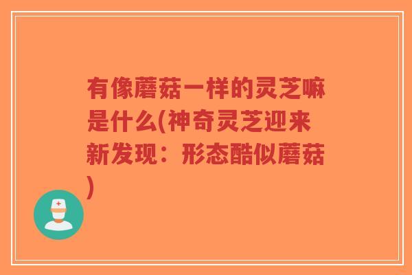 有像蘑菇一样的灵芝嘛是什么(神奇灵芝迎来新发现:形态酷似蘑菇)-第1张图片-超越 有像蘑菇一样的灵芝嘛是什么(神奇灵芝迎来新发现:形态酷似蘑菇)-第1张图片-超越