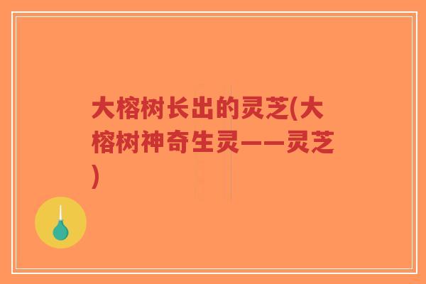 大榕树长出的灵芝(大榕树神奇生灵——灵芝)-第1张图片-超越 大榕树长出的灵芝(大榕树神奇生灵——灵芝)-第1张图片-超越