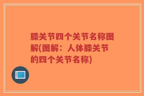 膝关节四个关节名称图解(图解:人体膝关节的四个关节名称)-第1张图片-超越 膝关节四个关节名称图解(图解:人体膝关节的四个关节名称)-第1张图片-超越
