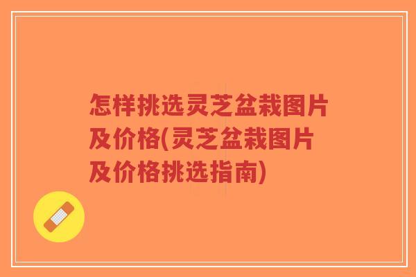 怎样挑选灵芝盆栽图片及价格(灵芝盆栽图片及价格挑选指南)-第1张图片-超越 怎样挑选灵芝盆栽图片及价格(灵芝盆栽图片及价格挑选指南)-第1张图片-超越