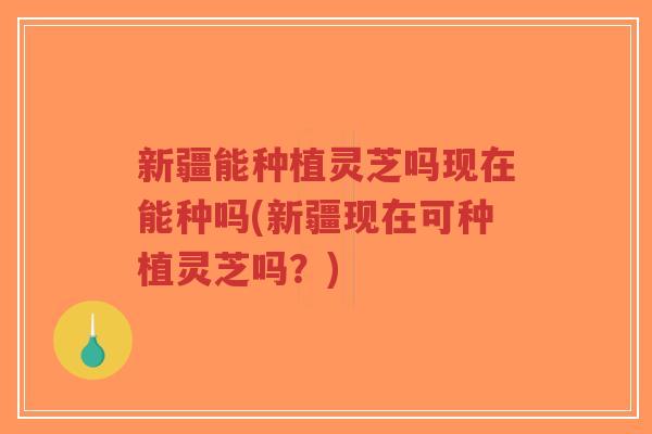 新疆能种植灵芝吗现在能种吗(新疆现在可种植灵芝吗?)-第1张图片-超越 新疆能种植灵芝吗现在能种吗(新疆现在可种植灵芝吗?)-第1张图片-超越