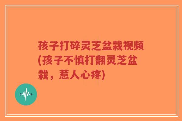 孩子打碎灵芝盆栽视频(孩子不慎打翻灵芝盆栽,惹人心疼)-第1张图片-超越 孩子打碎灵芝盆栽视频(孩子不慎打翻灵芝盆栽,惹人心疼)-第1张图片-超越
