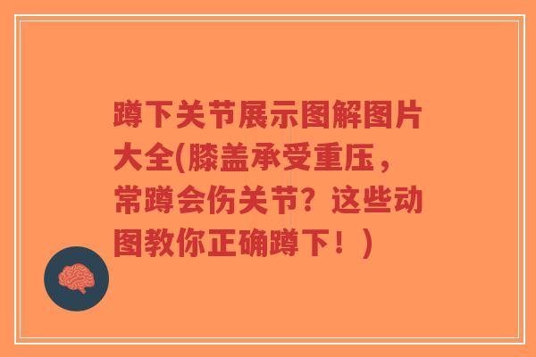 蹲下关节展示图解图片大全(膝盖承受重压,常蹲会伤关节?这些动图教你正确蹲下!)-第1张图片-超越 蹲下关节展示图解图片大全(膝盖承受重压,常蹲会伤关节?这些动图教你正确蹲下!)-第1张图片-超越
