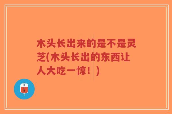 木头长出来的是不是灵芝(木头长出的东西让人大吃一惊!)-第1张图片-超越 木头长出来的是不是灵芝(木头长出的东西让人大吃一惊!)-第1张图片-超越