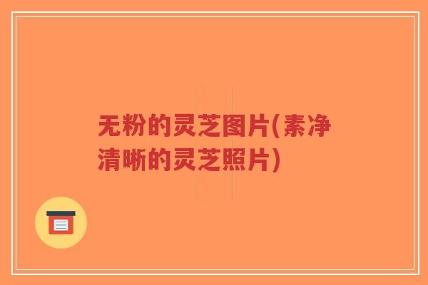 无粉的灵芝图片(素净清晰的灵芝照片)-第1张图片-超越 无粉的灵芝图片(素净清晰的灵芝照片)-第1张图片-超越