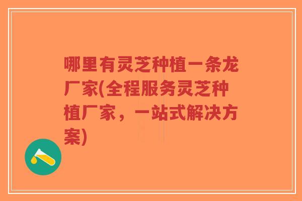 哪里有灵芝种植一条龙厂家(全程服务灵芝种植厂家，一站式解决方案)-第1张图片-超越