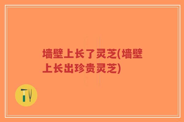 墙壁上长了灵芝(墙壁上长出珍贵灵芝)-第1张图片-超越 墙壁上长了灵芝(墙壁上长出珍贵灵芝)-第1张图片-超越