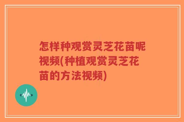 怎样种观赏灵芝花苗呢视频(种植观赏灵芝花苗的方法视频)-第1张图片-超越 怎样种观赏灵芝花苗呢视频(种植观赏灵芝花苗的方法视频)-第1张图片-超越