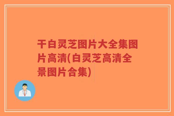 干白灵芝图片大全集图片高清(白灵芝高清全景图片合集)-第1张图片-超越 干白灵芝图片大全集图片高清(白灵芝高清全景图片合集)-第1张图片-超越