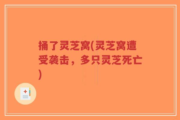 捅了灵芝窝(灵芝窝遭受袭击,多只灵芝死亡)-第1张图片-超越 捅了灵芝窝(灵芝窝遭受袭击,多只灵芝死亡)-第1张图片-超越