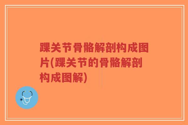 踝关节骨骼解剖构成图片(踝关节的骨骼解剖构成图解)-第1张图片-超越 踝关节骨骼解剖构成图片(踝关节的骨骼解剖构成图解)-第1张图片-超越