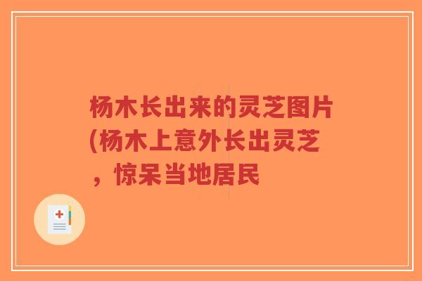 杨木长出来的灵芝图片(杨木上意外长出灵芝，惊呆当地居民-第1张图片-超越