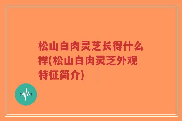 松山白肉灵芝长得什么样(松山白肉灵芝外观特征简介)-第1张图片-超越 松山白肉灵芝长得什么样(松山白肉灵芝外观特征简介)-第1张图片-超越