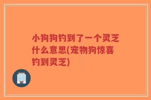 小狗狗钓到了一个灵芝什么意思(宠物狗惊喜钓到灵芝)-第1张图片-超越 小狗狗钓到了一个灵芝什么意思(宠物狗惊喜钓到灵芝)-第1张图片-超越