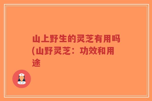 山上野生的灵芝有用吗(山野灵芝:功效和用途-第1张图片-超越 山上野生的灵芝有用吗(山野灵芝:功效和用途-第1张图片-超越