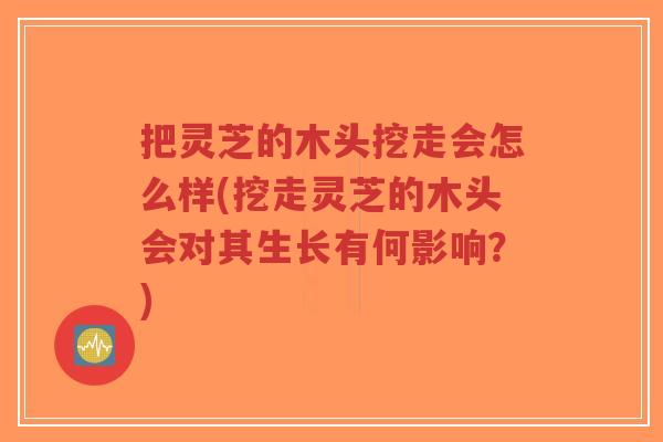 把灵芝的木头挖走会怎么样(挖走灵芝的木头会对其生长有何影响?)-第1张图片-超越 把灵芝的木头挖走会怎么样(挖走灵芝的木头会对其生长有何影响?)-第1张图片-超越